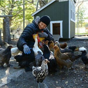 I mille volti di Isabella - Rivista Consumatori