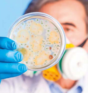 Il rapporto tra uomo e natura - Rivista Consumatori