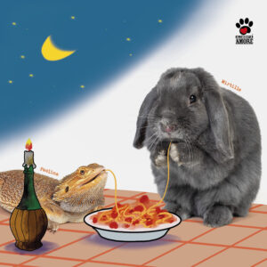 La natura dei sentimenti la filastrocca di febbraio