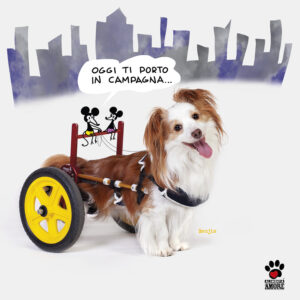 La natura dei sentimenti la filastrocca di maggio