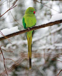 Milano (e non solo) invasa dagli alieni - Rivista Consumatori