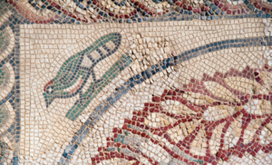 Umani e animali: notizie dal mondo antico - Rivista Consumatori